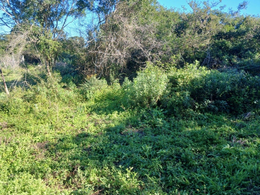 0 Bedroom Property for Sale in Bathurst Eastern Cape